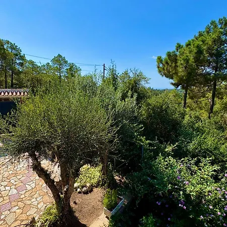 Maison d'hôtes Villa Lloret De Mar Lloret de Mar