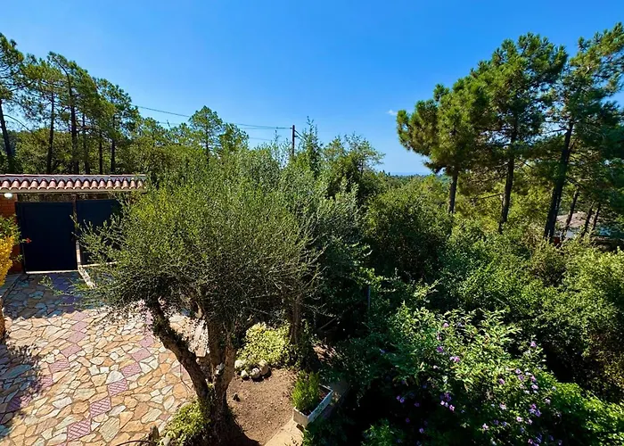 Pensión Villa Lloret De Mar Lloret de Mar